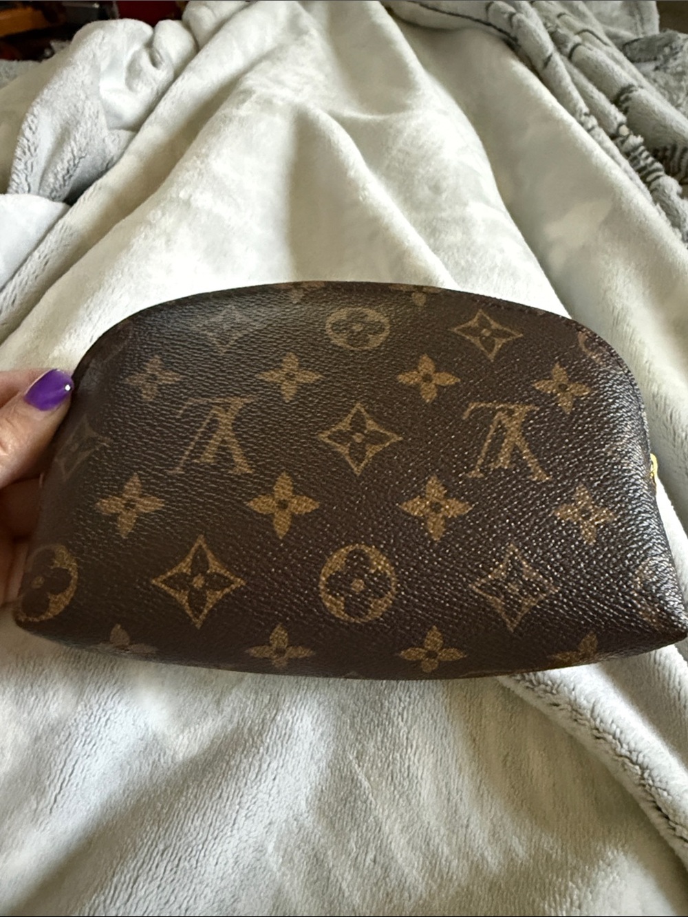 Louis Vuitton Monogram Cosmetic Pouch in Brown and Tan